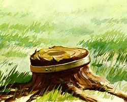 El arbol cortado El arbol cortado