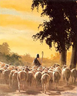 El pastor de ovejas El pastor de ovejas