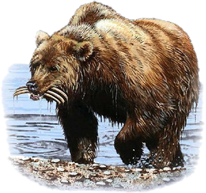 El oso con 3 costillas en su boca El oso con 3 costillas en su boca