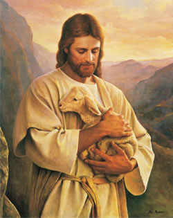 Jesús protege su oveja Jesús protege su oveja